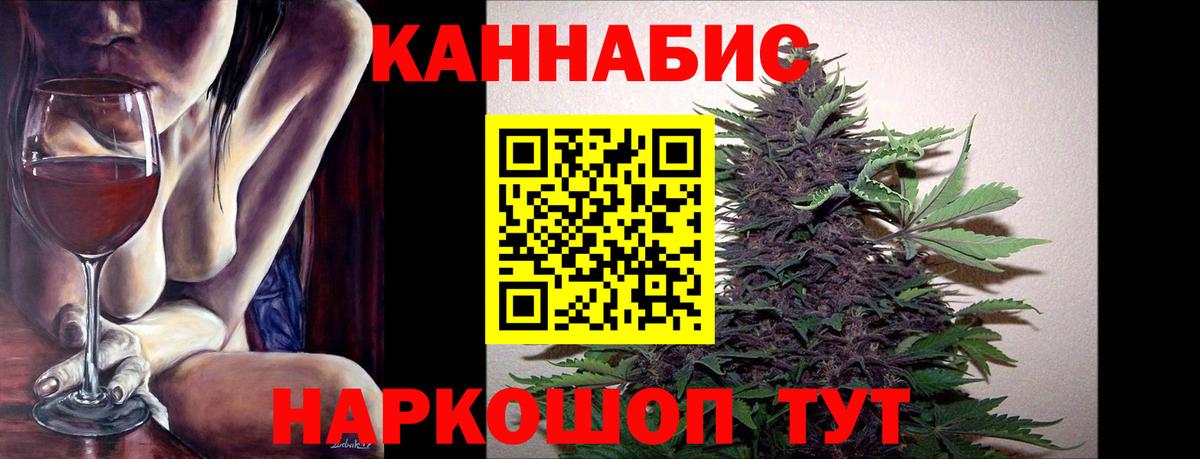 Конопля планчик Зима